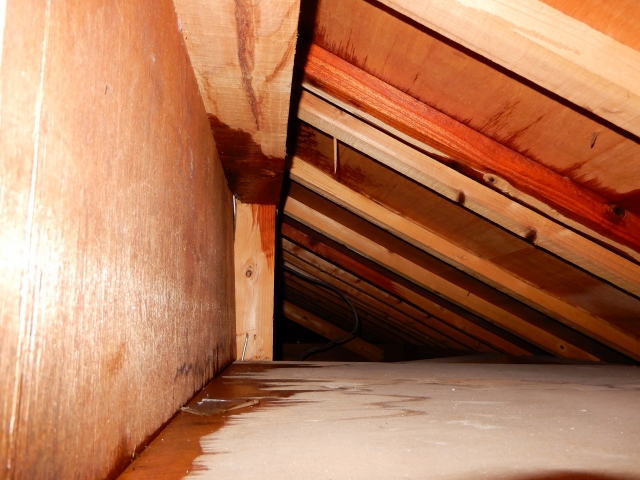 屋根裏の雨漏り調査